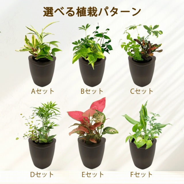 背面給水でお手入れ簡単 選べるPOTと植栽パターン Vシリーズ