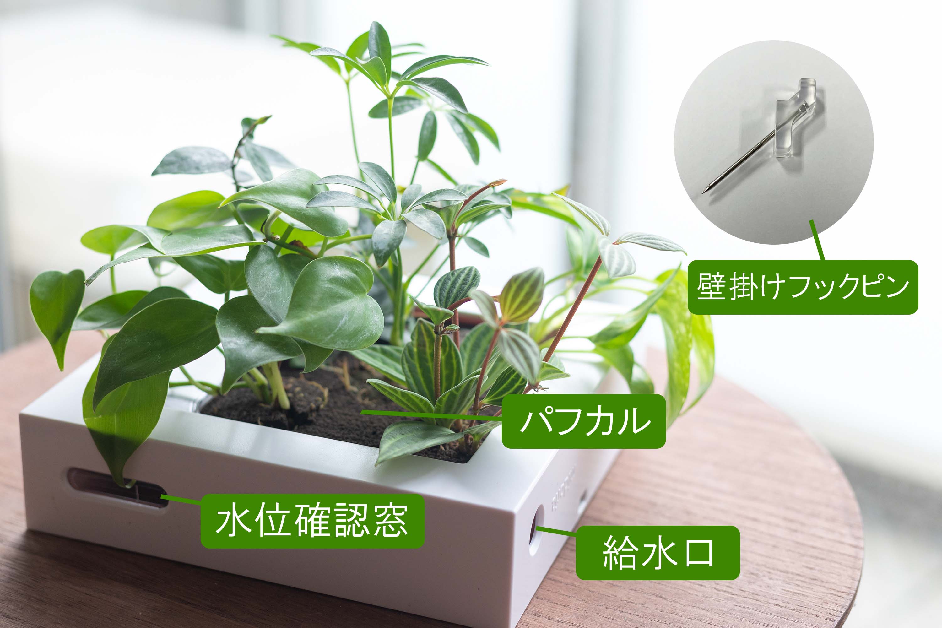 ミドリエデザイン