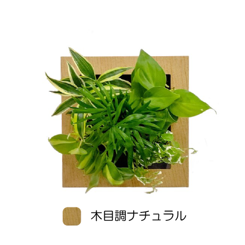 観葉植物 木目調