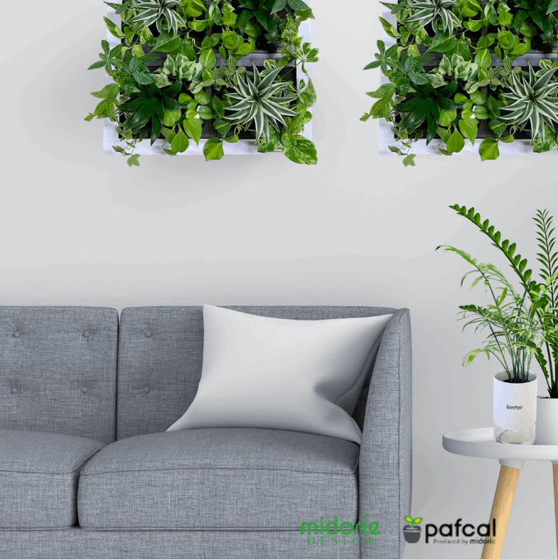 本物の観葉植物 特大サイズ グリート GREET21W1 (ブラウン)