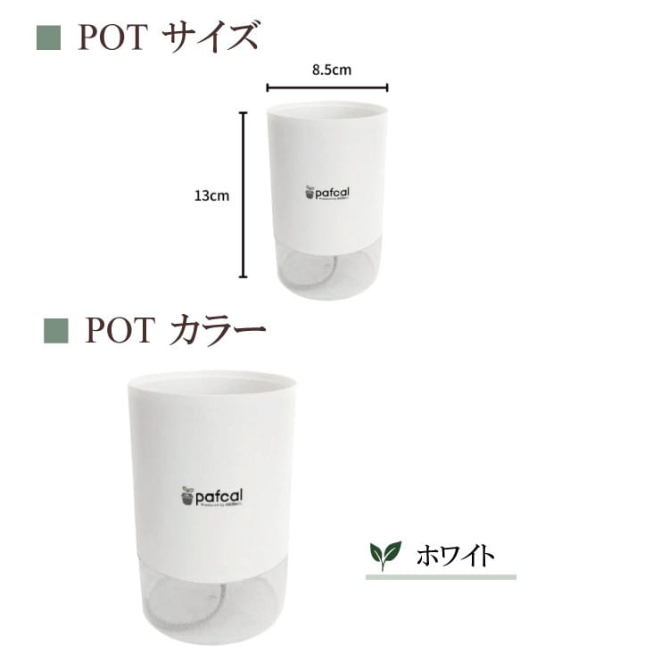 観葉植物 サイズ