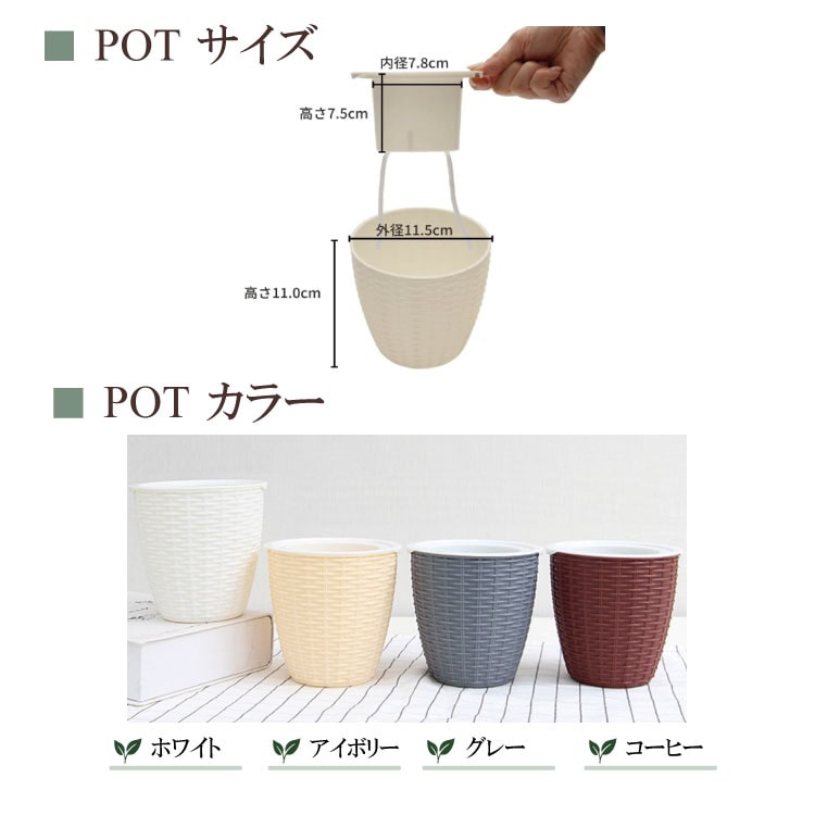 観葉植物 サイズ