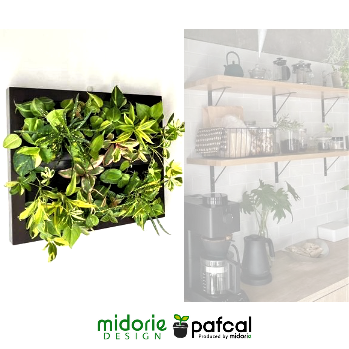 憩いの場に 特大サイズ グリート GREET20B1 ※植物の生育状況により一部植物の変更をお願いする場合がございます。予めご了承願います。