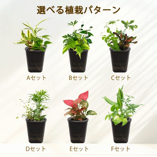 背面給水でお手入れ簡単 選べるPOTと植栽パターン Sシリーズ
