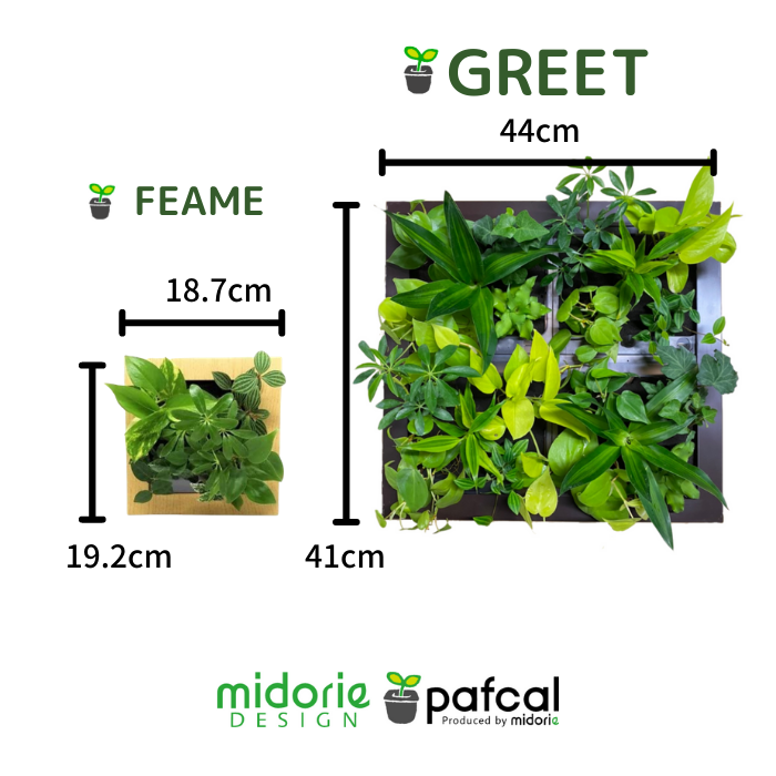 憩いの場に 特大サイズ グリート GREET20B1 ※植物の生育状況により一部植物の変更をお願いする場合がございます。予めご了承願います。