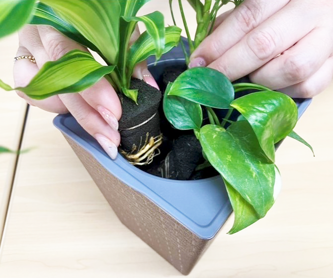 背面給水でお手入れ簡単 POT-V 寄せ植えセット(植物お任せ)