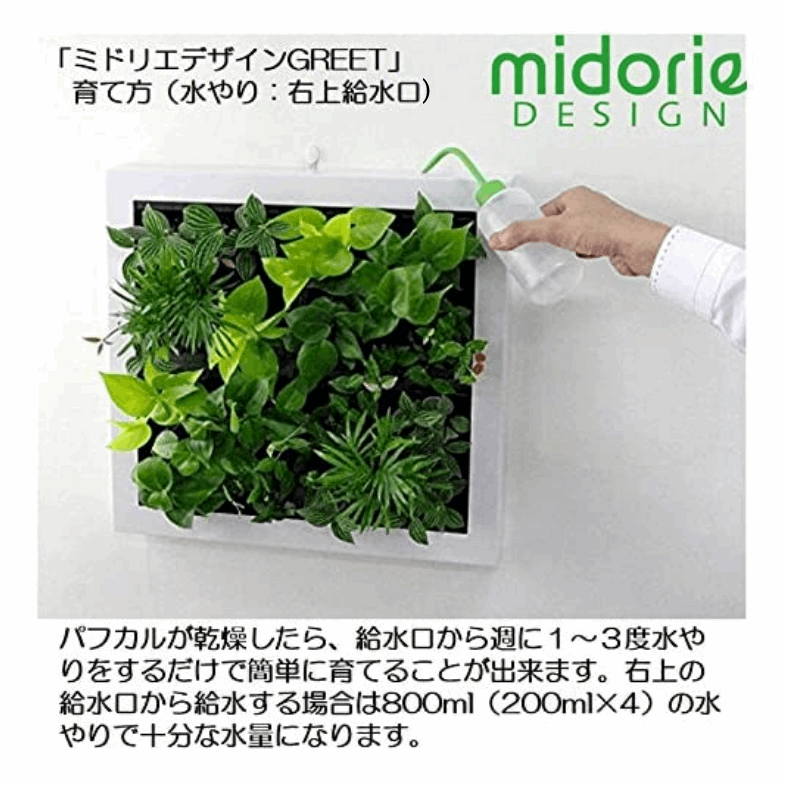 本物の観葉植物 特大サイズ グリート GREET21W1 (ブラウン)