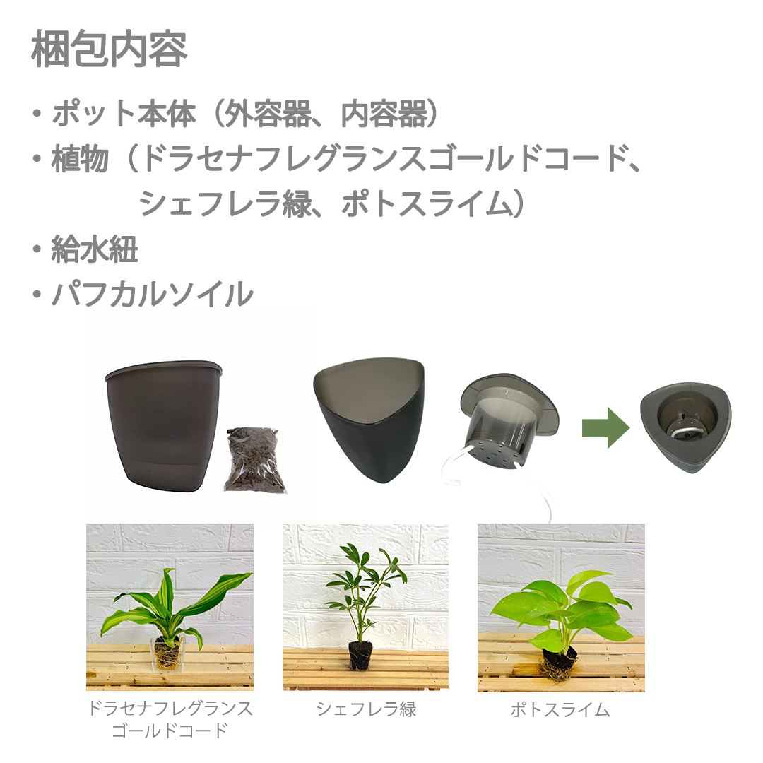 背面給水でお手入れ簡単 POT-V 寄せ植えセット(植物お任せ)