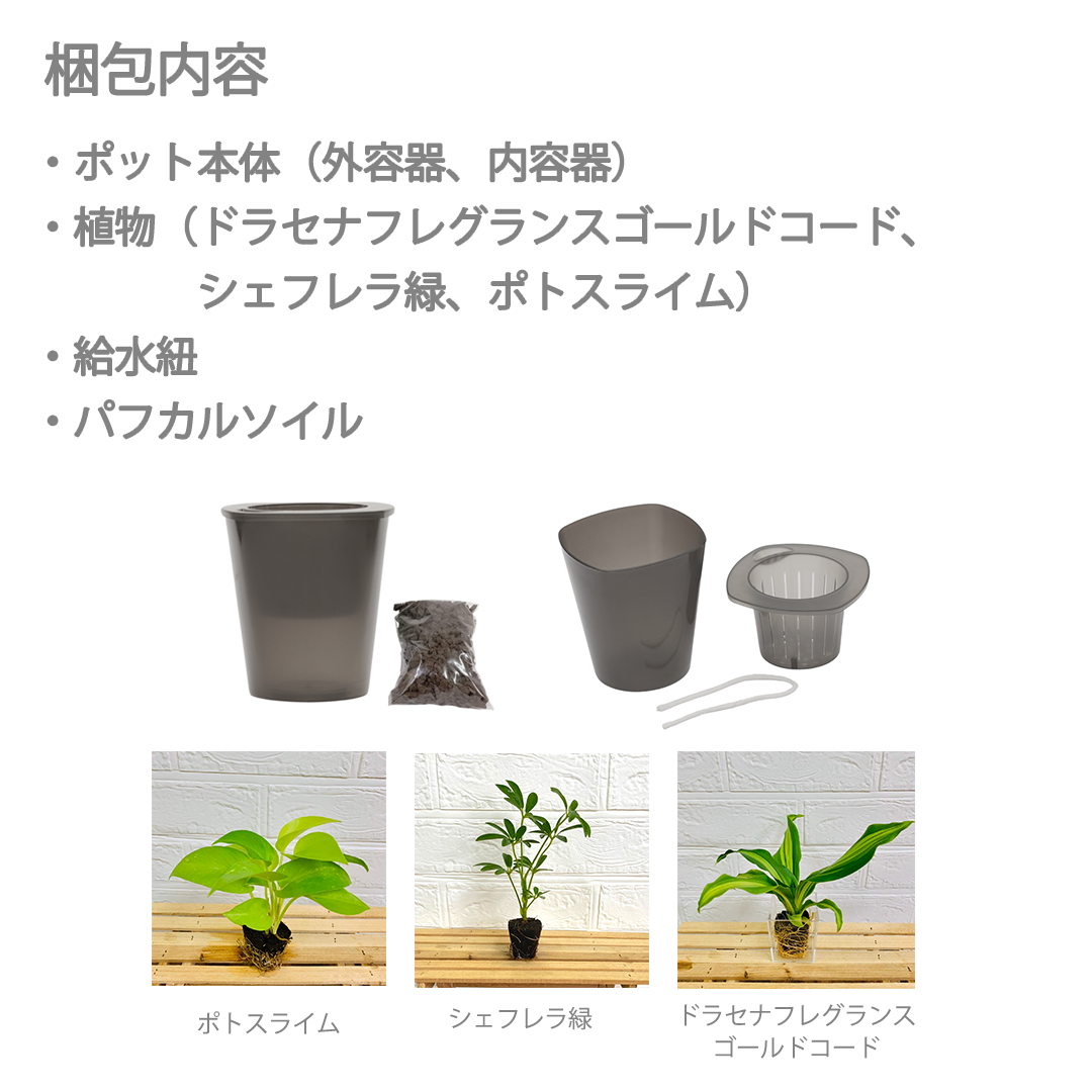 背面給水でお手入れ簡単 POT-S 寄せ植えセット(植物お任せ)