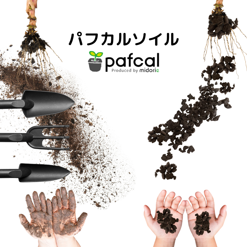 背面給水でお手入れ簡単 POT-V 寄せ植えセット(植物お任せ)