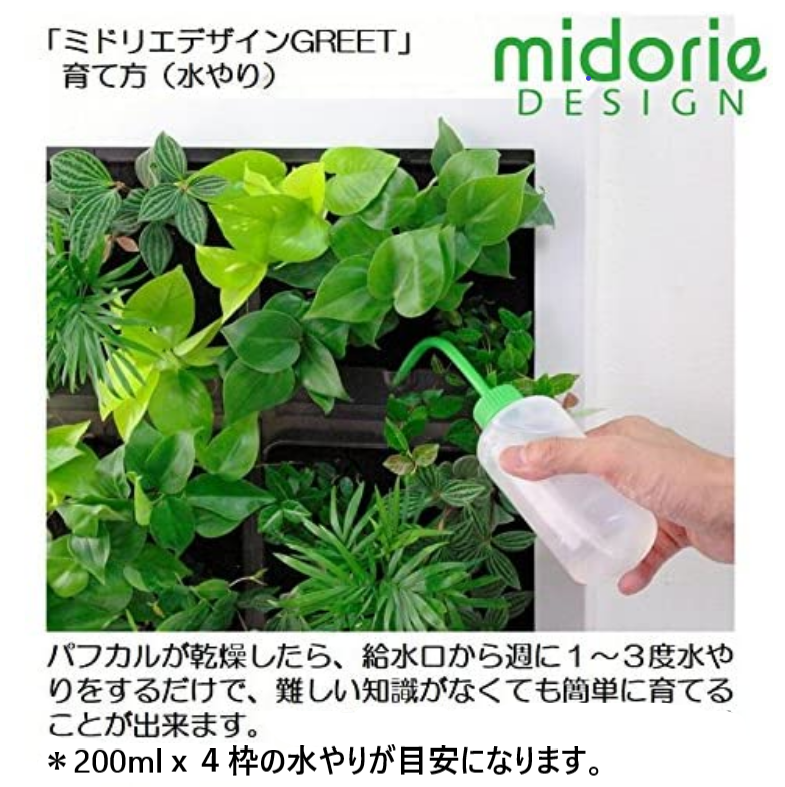 憩いの場に 特大サイズ グリート GREET20B1 ※植物の生育状況により一部植物の変更をお願いする場合がございます。予めご了承願います。