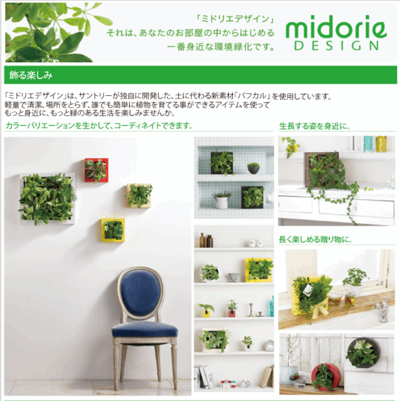 本物の観葉植物 特大サイズ グリート GREET21W1 (ブラウン)