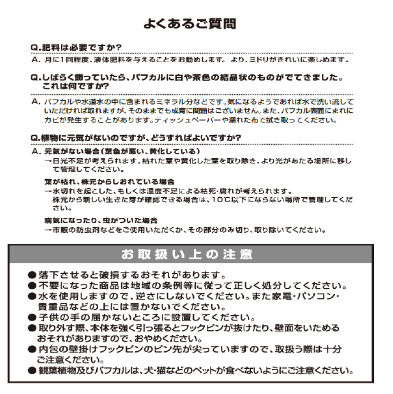 背面給水でお手入れ簡単 POT-V 寄せ植えセット(植物お任せ)