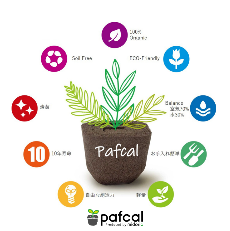 憩いの場に 特大サイズ グリート GREET20B1 ※植物の生育状況により一部植物の変更をお願いする場合がございます。予めご了承願います。