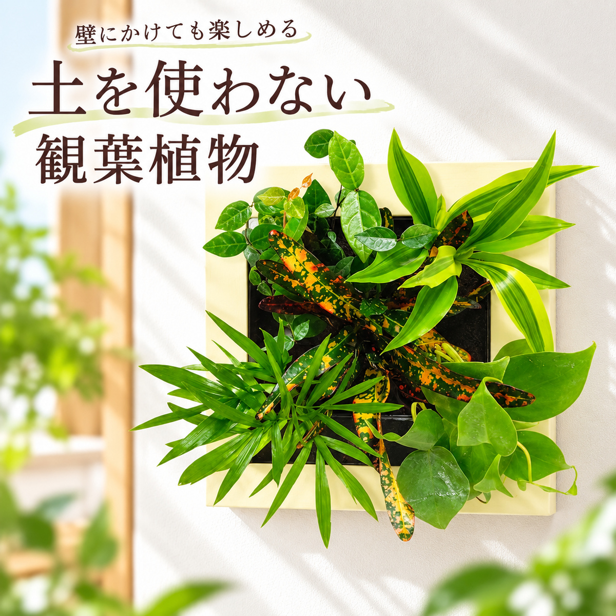 FRAME カラーアイボリー