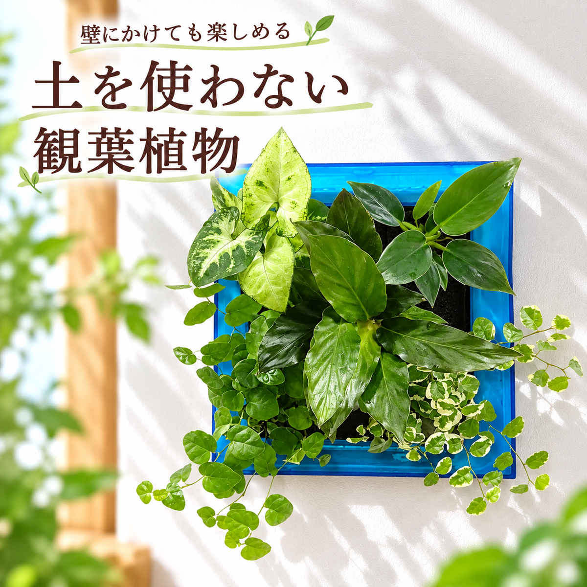 FRAME カラースカイブルー(半透明)