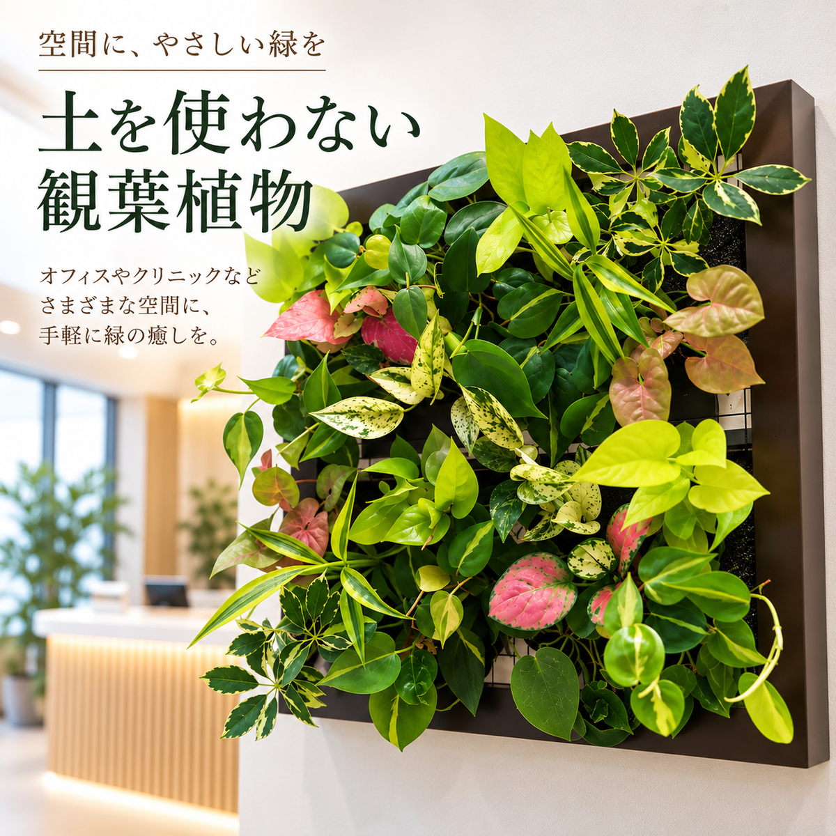 GREET　カラーブラウン　オフィスやクリニックに手軽に緑を