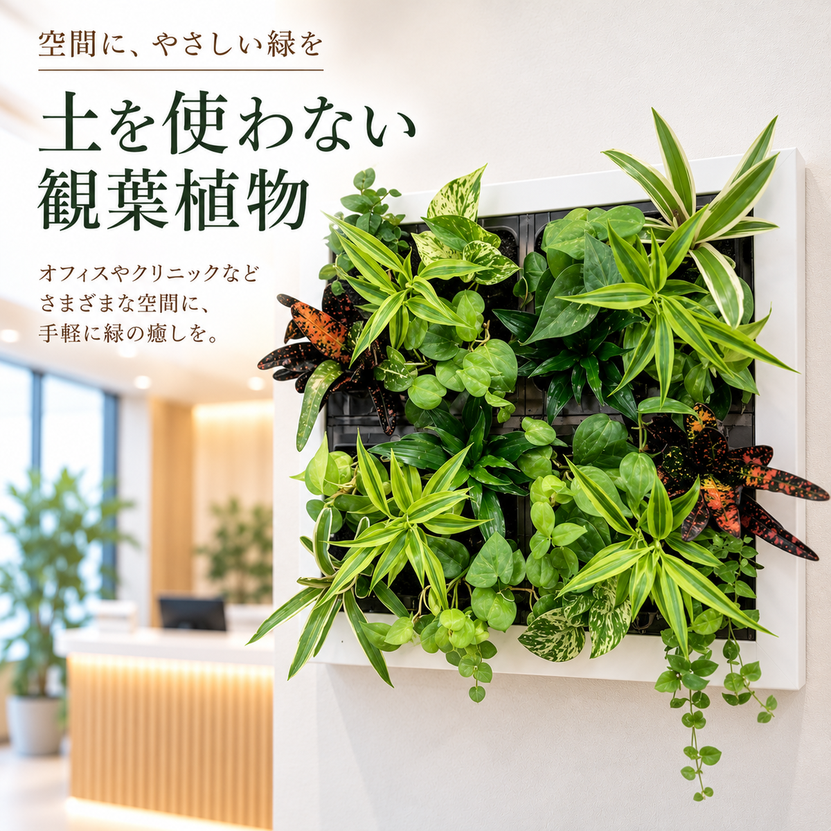 GREET　カラーホワイト　オフィスやクリニックに手軽に緑を