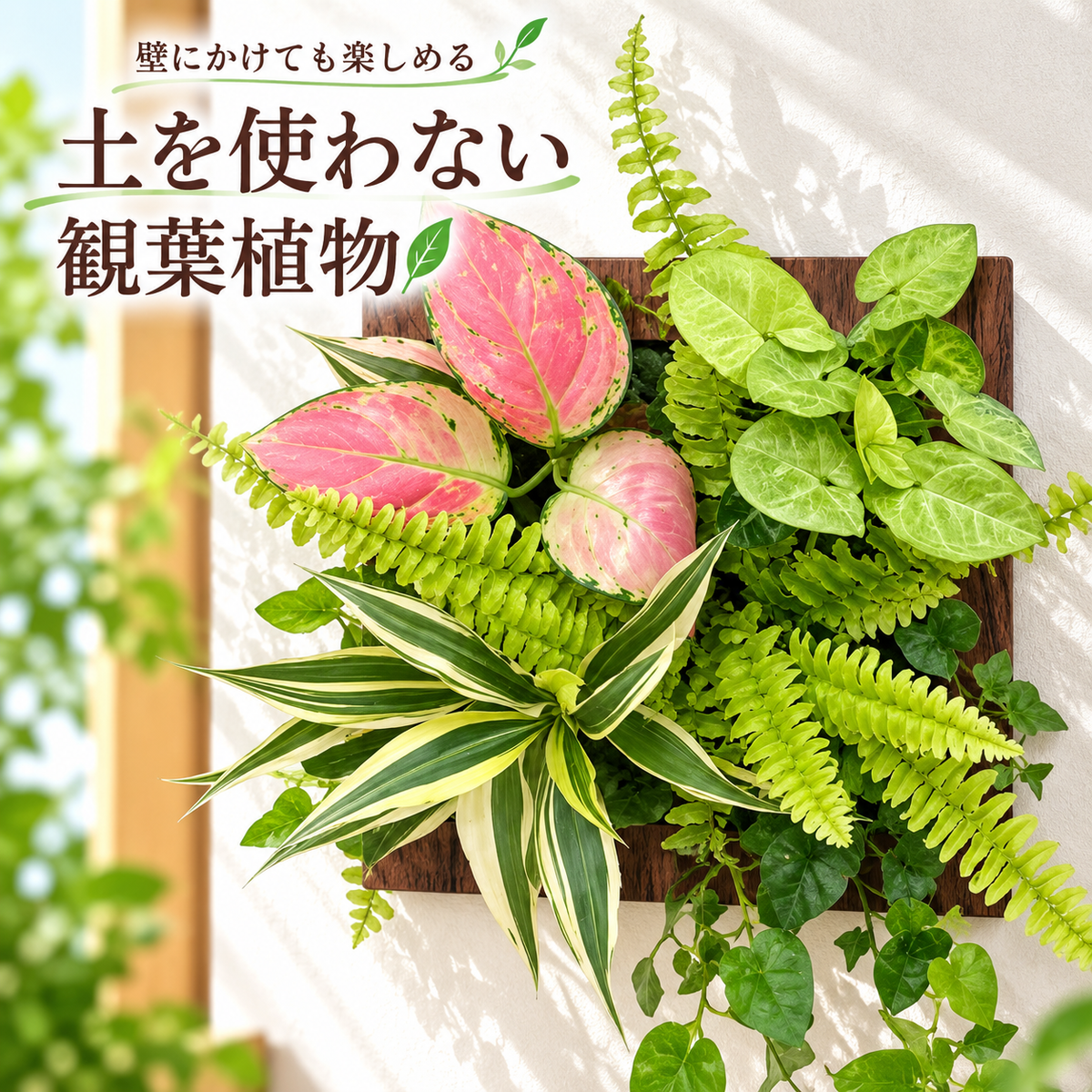 FRAME カラー木目調ブラック
