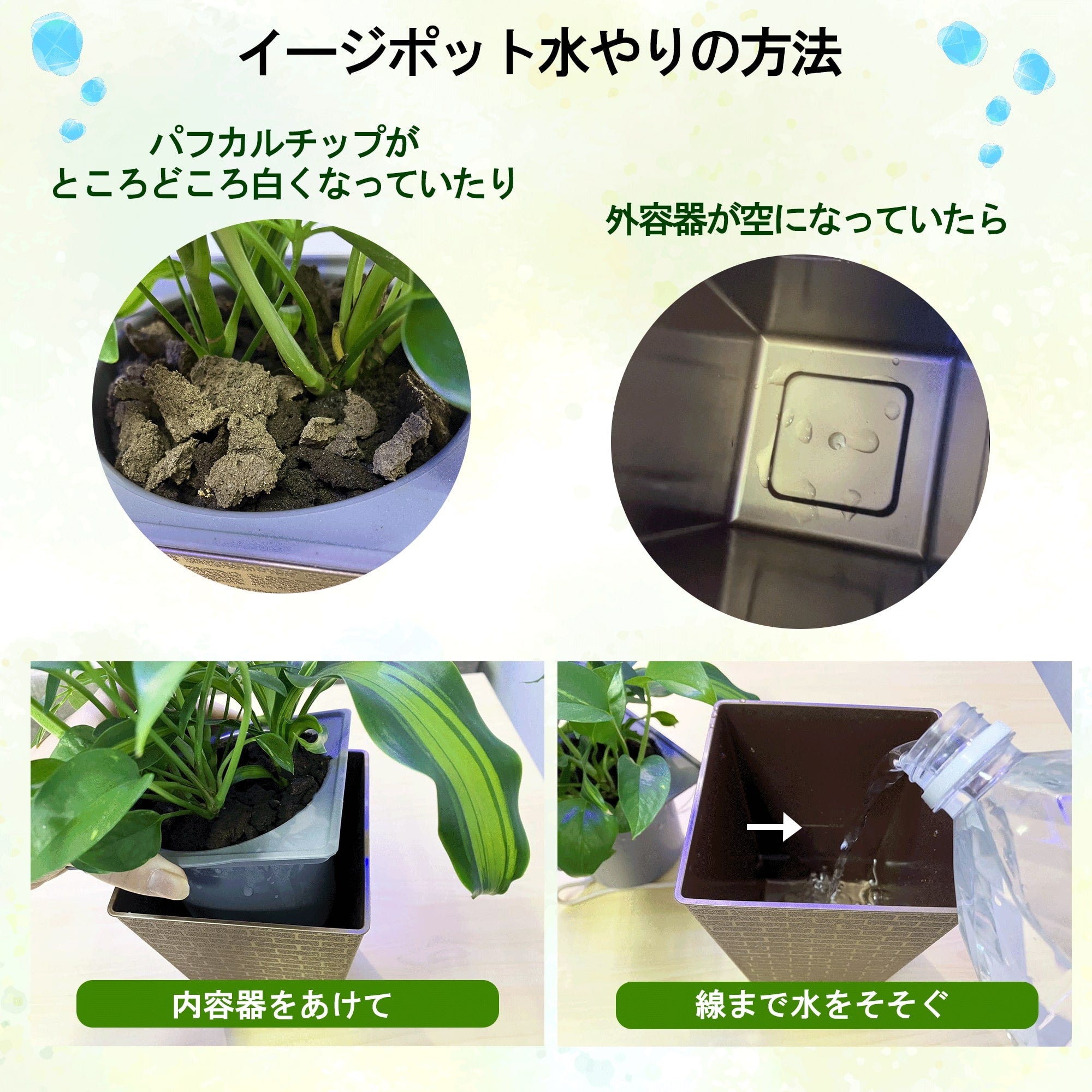 土に代わるパフカルで育てる観葉植物ミドリエ-