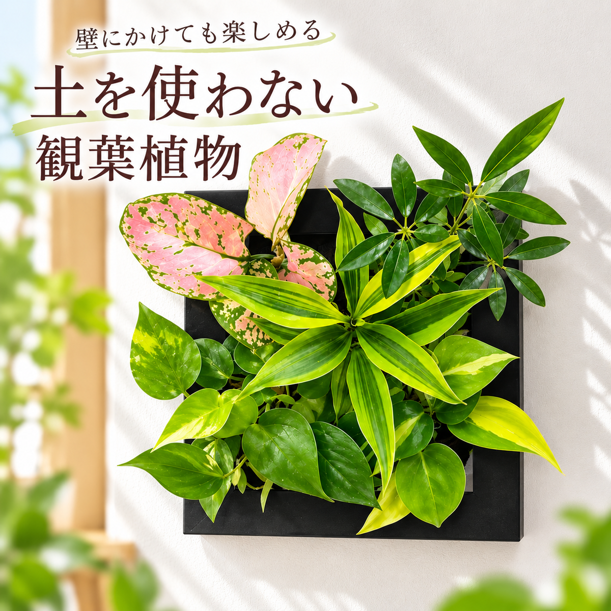 FRAME カラーブラック