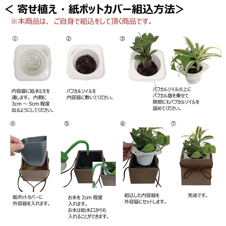 観葉植物　組み立て