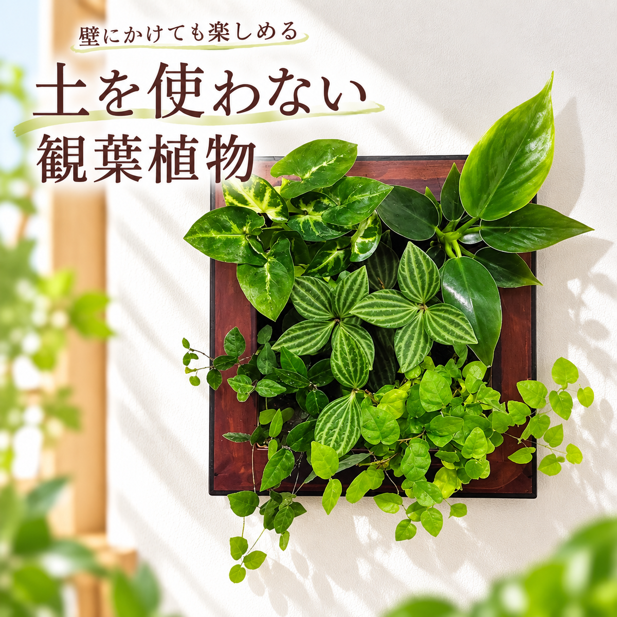 FRAME カラーアンバー（半透明）